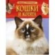 Кошки и котята