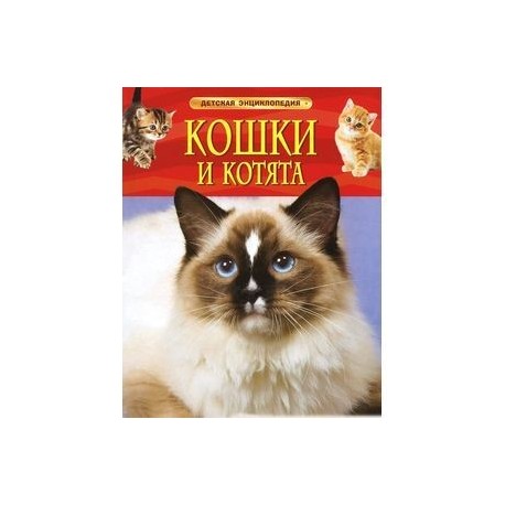 Кошки и котята